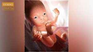 30 неделя беременности. Развитие плода. УЗИ 3D и 4D. Что чувствует беременная. Как выглядит ребенок