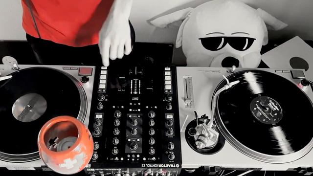 House & Tech House Mix 2019 - Vinyl Record Only - Promo Mix #3 Mix by Swiss mon Beat смотреть онлайн