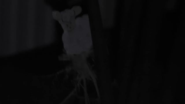 Panasonic HC-V700 test Internal lamp смотреть онлайн