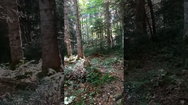 Пещера Нежная смотреть онлайн