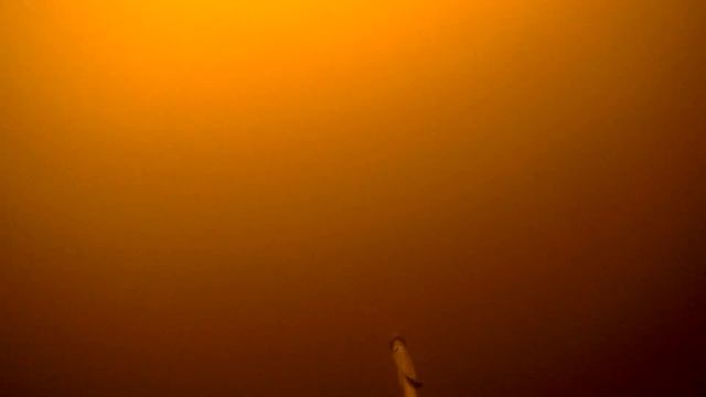 ОТЛИЧНАЯ ПОДВОДНАЯ ОХОТА НА КАНАЛЬНОГО СОМИКА!!! смотреть онлайн