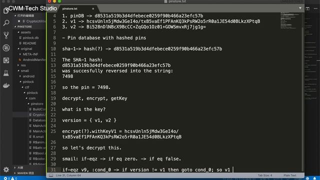 CTF-pinstore-video-tutorial смотреть онлайн