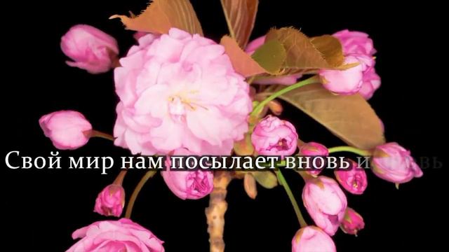 Любви Христа   Минус