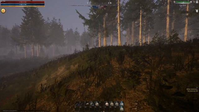 Reign of Guilds | Стартовал новый открытый тест смотреть онлайн