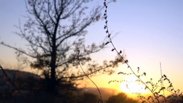 3 часа музыки для расслабления от стресса. мелодии пианино смотреть онлайн