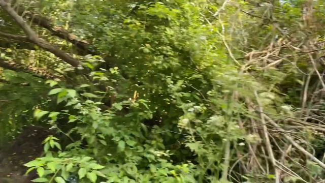 НОВОЕ ХОЗЯЙСТВО И НОВЫЕ ЦВЕТЫ смотреть онлайн