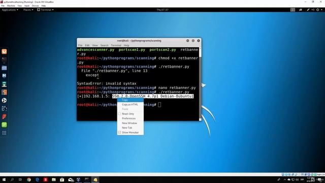 Returning banner from open port смотреть онлайн