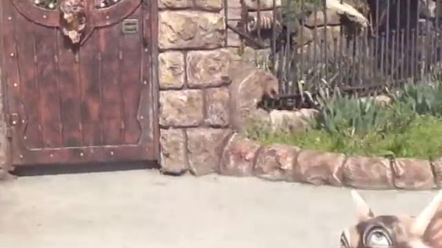 Обнаружен дом сказка смотреть онлайн