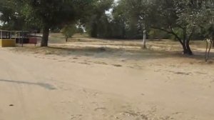 Станица Романовская. Левый берег Дона. Пляж