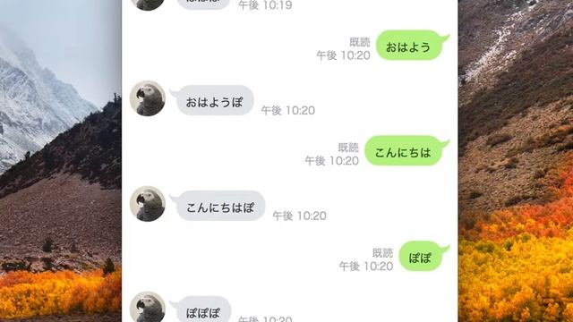 Python 2018/09/29 LINE BOT echo смотреть онлайн