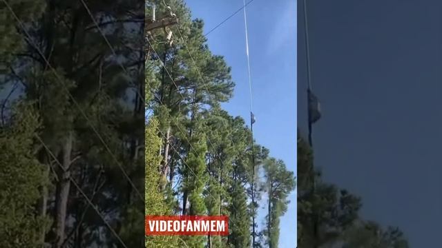 Как срезают кронку деревьев на вертолете! #shorts #интересное #вертолет Подпишись! смотреть онлайн