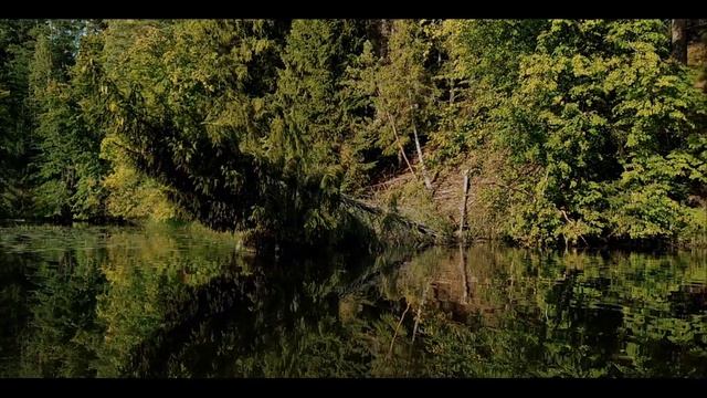 Сплав на самодельной байдарке ИЗ ВЕТОК И КЛЕЕНКИ. +Преимущества над каяком из стрейч-плёнки.. смотреть онлайн
