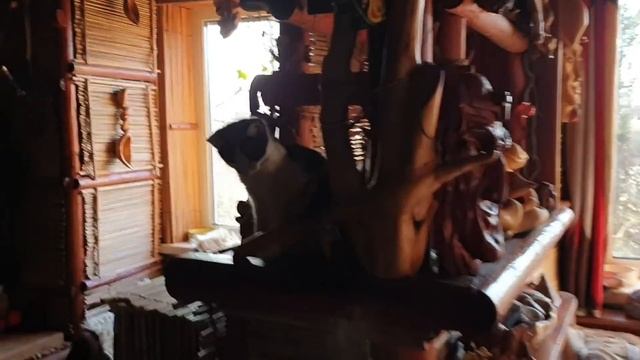 Как начинается стройка первого вольера в Совином Доле. смотреть онлайн