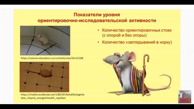 _Использование коллекции животных в организации научно-практической деятельности учащихся смотреть онлайн