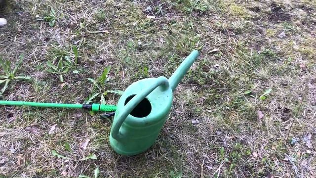 Сажаем новый газон смотреть онлайн