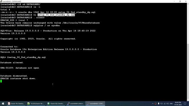 Oracle 19c Data Guard 03 Multiple Standby Setup смотреть онлайн