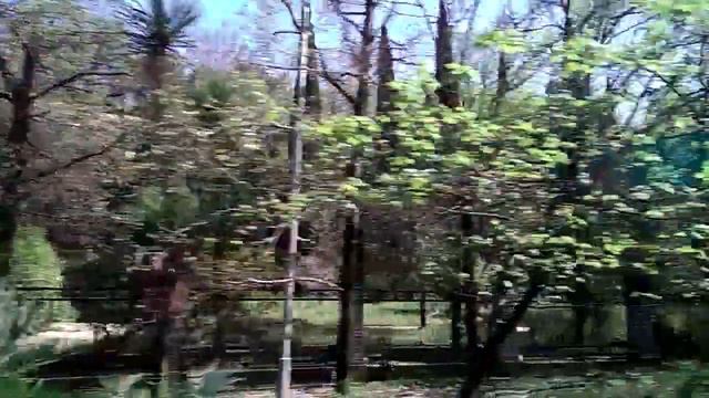 Сочи. Экскурсия в Свято-Георгиевский женский монастырь. Часть 1. Дорога туда. 09.04.2018 смотреть онлайн