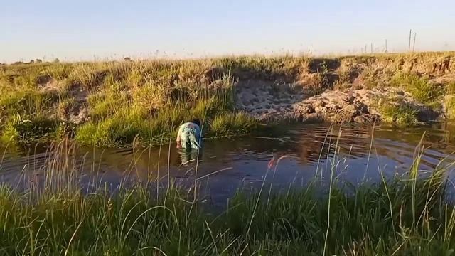 КАК ПОЙМАТЬ РЫБУ РУКАМИ/РЫБАЛКА РУКАМИ/ смотреть онлайн