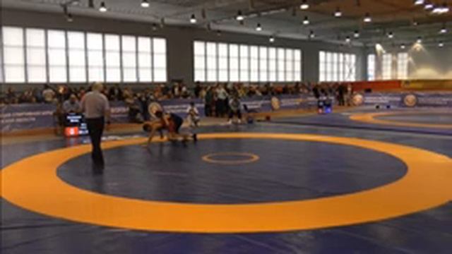 Лавриненков - 2015. (Ковер B) (запись от 5.12.2015) смотреть онлайн