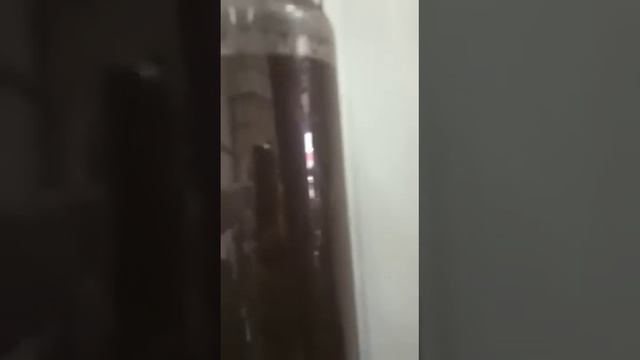 Контрактный двигатель TOYOTA VISTA ZZV50 1ZZ-FE 0366137 смотреть онлайн