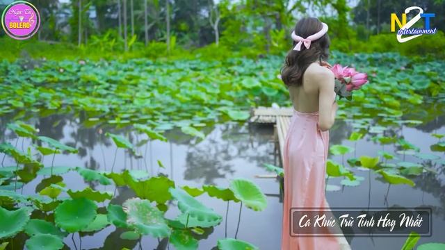 LK Nhạc Sống Quan Họ 2024 Toàn Bài Hay ➤Dân Ca Quan Họ Hà Bắc Vui Xuân Đón Tết - Kim Cúc Quan Họ #0 смотреть онлайн