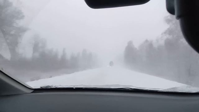 Зимний перегон Mitsubishi Delica D5 2019 из Владивостока