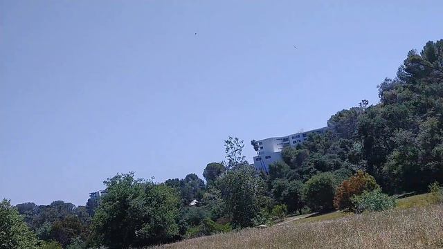 OMP Hobby M1 Helicopter 🚧Bird Roulette🚧