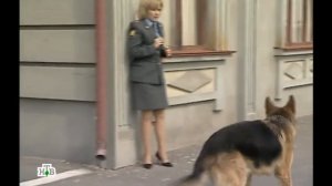 Возвращение Мухтара 2. Блёстки