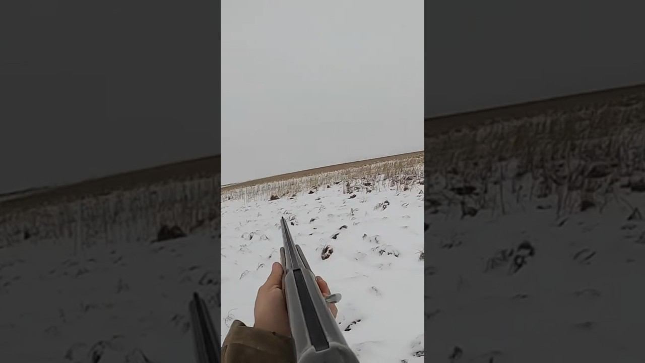 Подранок, охота на зайца в метель. #охота #охотаназайца смотреть онлайн