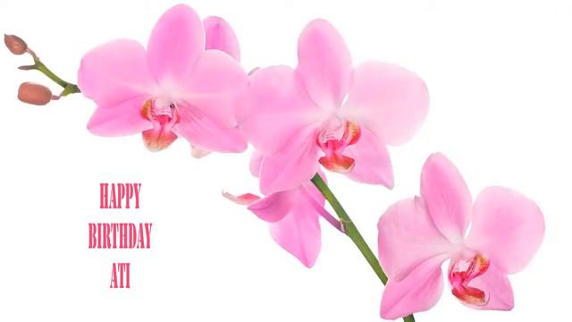 Ati Flowers & Flores - Happy Birthday смотреть онлайн
