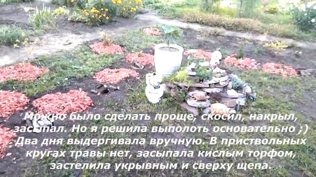 Декорирую зону отдыха. На даче 3 сентября 2022 г смотреть онлайн