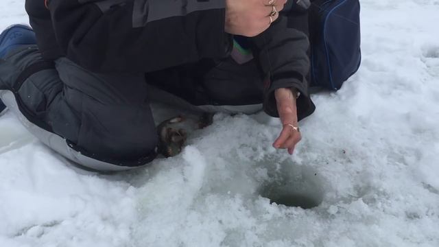 ТУРНИР"ЛЕДОВЫХ ДЕЛ МАСТЕР 2019"по ловле на мормышку со льда смотреть онлайн