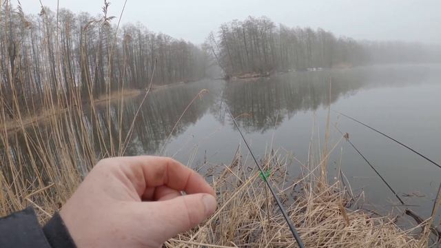 Плотва на Поплавок и Фидер. Рыбалка в Шатуре 2023 смотреть онлайн