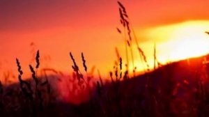 Ансамбль народной песни "Сорока"-"Рябиновые бусы"