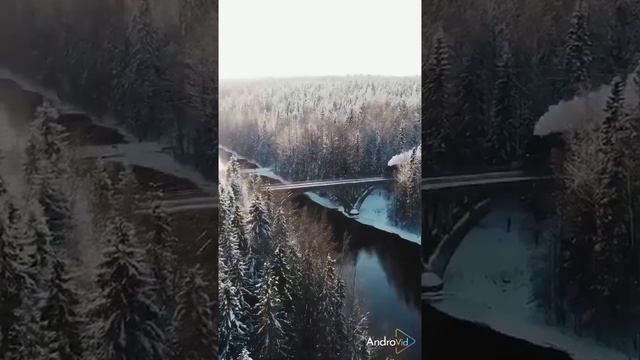 зрелая и не зрелая #личность