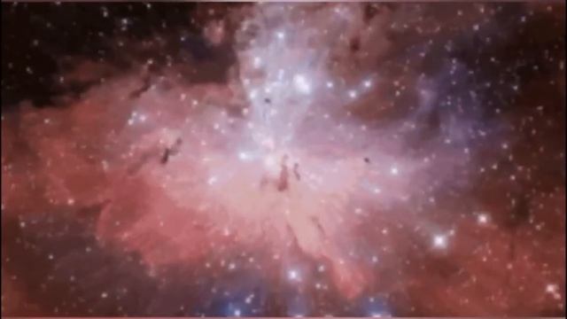 Physics And Consciousness Explication Winners