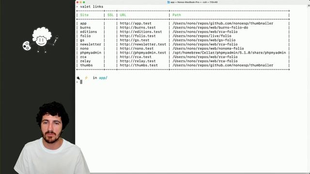 Serve Laravel Apps with Artisan and Valet смотреть онлайн