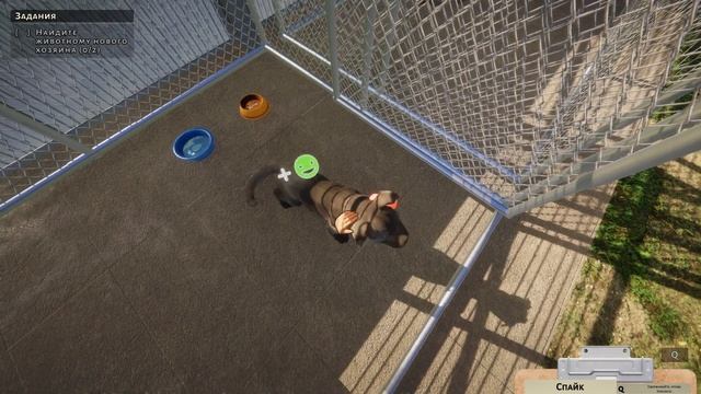Первый взгляд на игру Animal Shelter | Открываем приют для собак смотреть онлайн