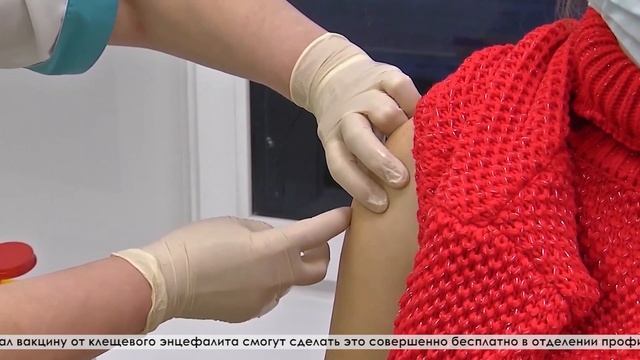 Самое время позаботься о здоровье и привиться от клещевого энцефалита смотреть онлайн