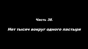 О немощи современного пастырства. Часть 38. Нет тысяч вокруг одного пастыря
