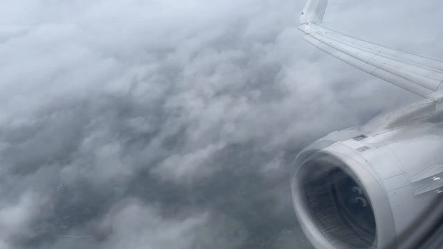 [White Noise ASMR - Baby Lullaby Noise] Rainy Airplane Healing Video