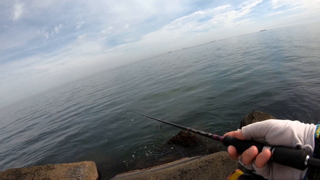 РЫБАЛКА НА ЧЕРНОМ МОРЕ. Как и где поймать САРГАНА на черном море. МОРСКАЯ РЫБАЛКА. смотреть онлайн