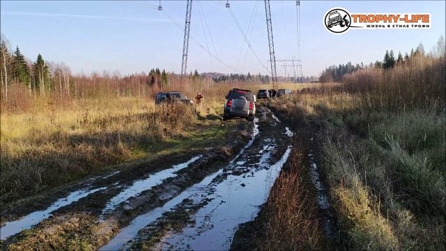 20211030 Дмитровская Игрушка Трофи-лайф Лого.mp4 смотреть онлайн