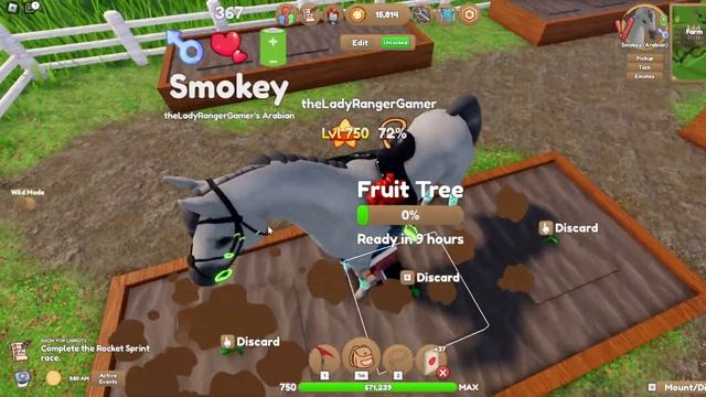There are RARE horses for sale at the markets on Wild Horse Islands... LOOK WHAT I FOUND! Roblox. смотреть онлайн