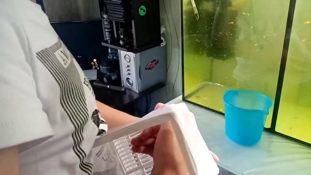 Огромное изменение за время пока я не выкладывал ролики!! смотреть онлайн