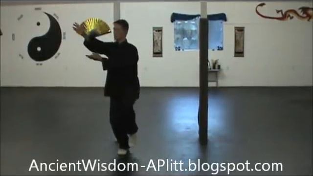 Yang Tai Chi Chuan 24 Form