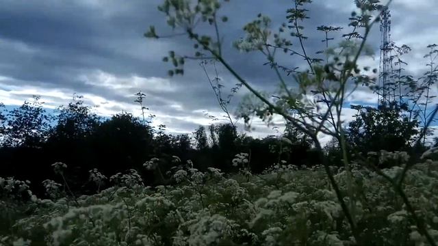 VID 20220613 172831 Синие горы вдали...1901 (А. Блок)...Павел Васильев Лахтинский смотреть онлайн