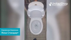 Смыв унитаза Кировская Керамика Rosa Стандарт от UnitazShop