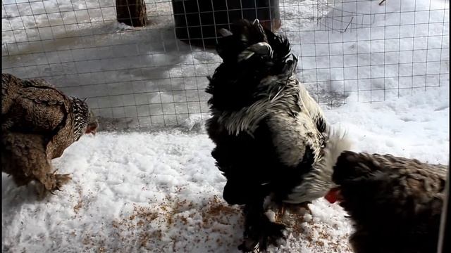Брама тёмная в моём хозяйстве смотреть онлайн
