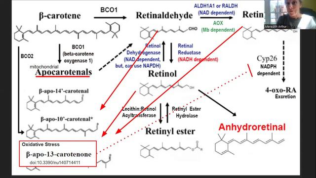 Oops! Content correction!! смотреть онлайн